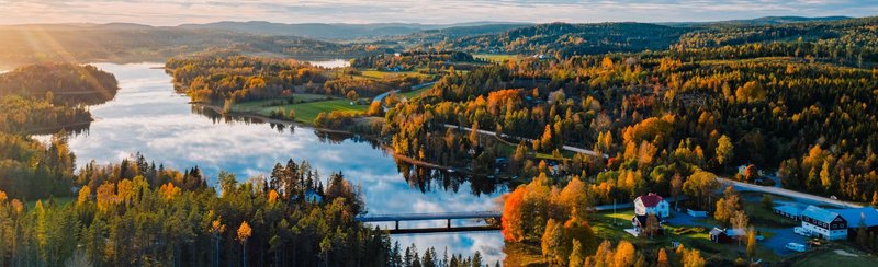 Image: Vad är Wildzy Casino - Bästa Casinon med Bitcoin i Sverige?
